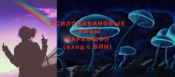 спиды Абаза