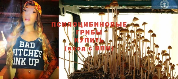 Альфа ПВП Абдулино