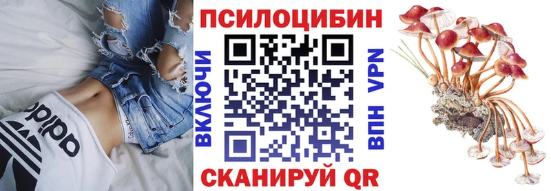 shop телеграм  MEGA сайт  Сорск  Псилоцибиновые грибы GOLDEN TEACHER 