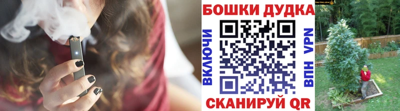 Бошки Шишки план  Сорск 